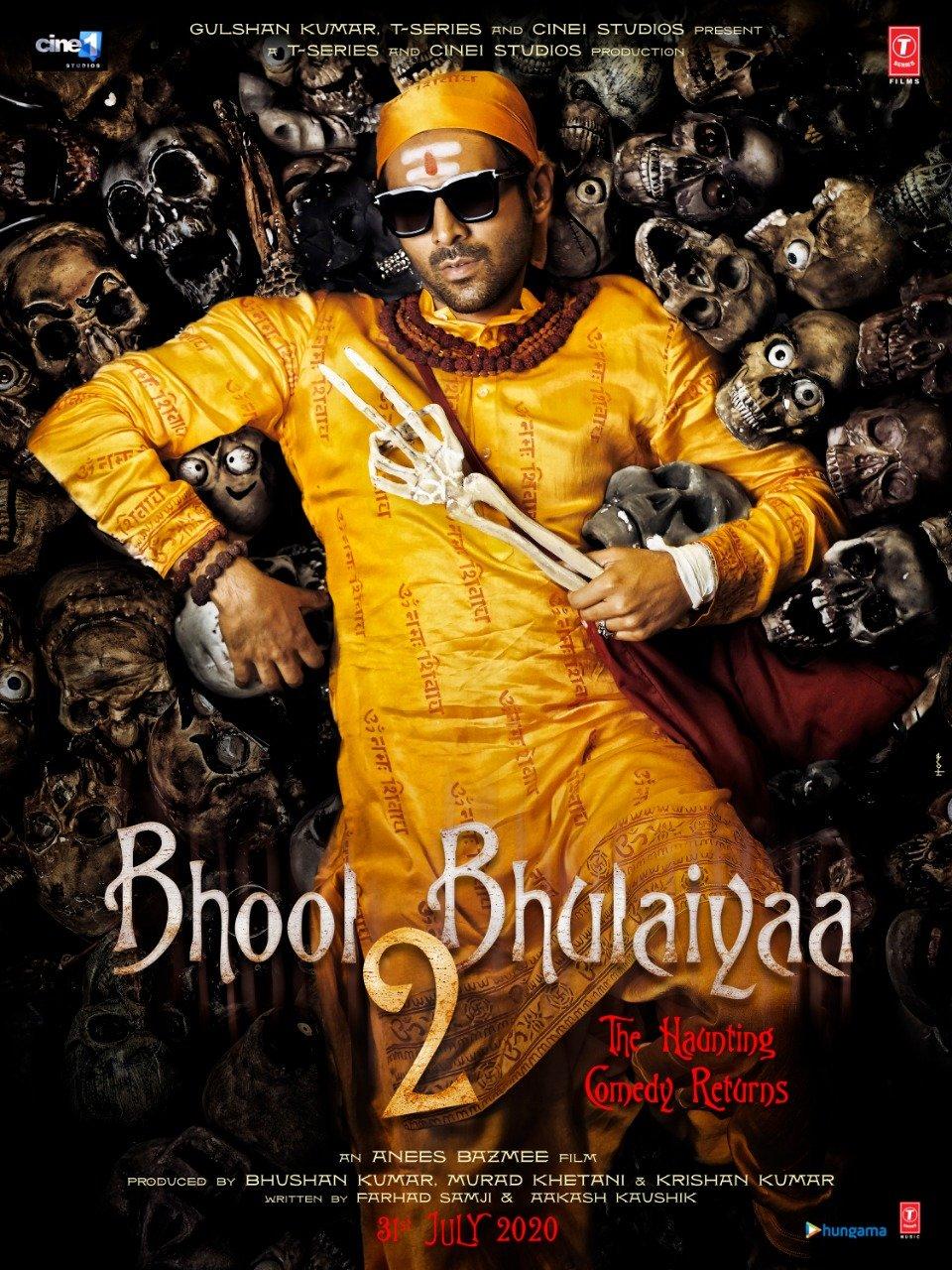 Bhool Bhulaiyaa 2 hindi Movie - Overview